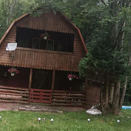 Teddy Holiday home *